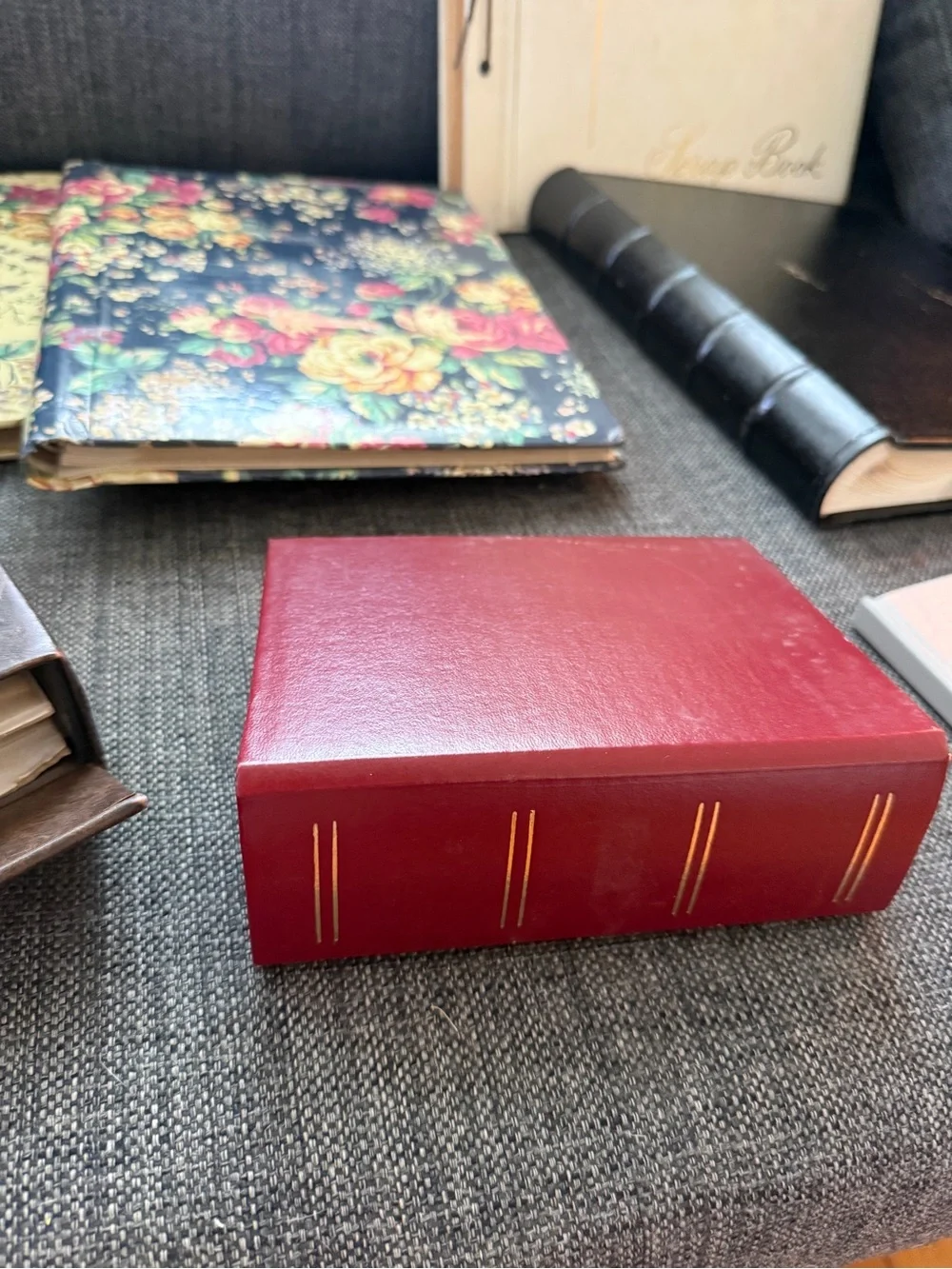 Lot of vintage photo books